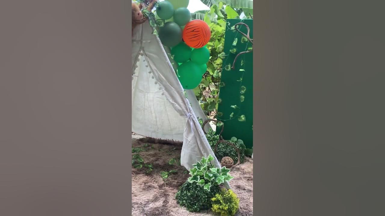 SAFARI THEME PHOTOSHOOT SETUP YouTube