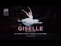 Giselle (Recorded 2016) Royal Opera House 2020 Cinema Season