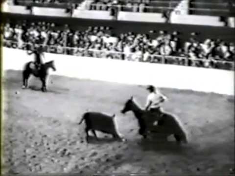 Buster Welch - AQHA