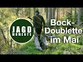 Bockdoublette im Mai | JagdMomente | 2021 | Jagdfilm No. 1