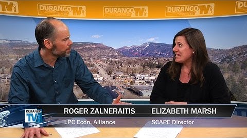 Alliance Report - Essentials for Startups