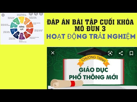 Đáp án Bài tập cuối khóa mô dun 3 Hoạt động trải nghiệm