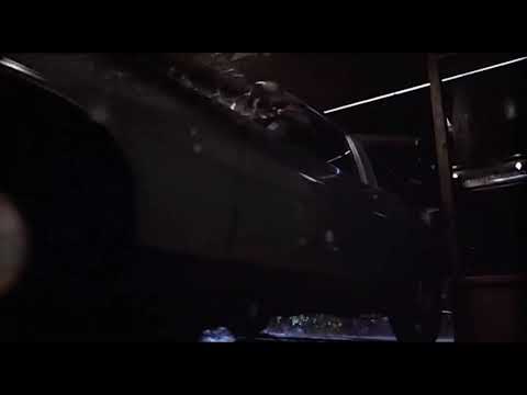 The Terminator (Goddamn cashello)