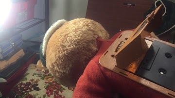 Teddy Ruxpin Bluetooth/Smartphone Hack.