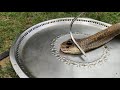 नागमणि आखिरकार मुझे मिल ही गया Snake Rescue Team panchet Dam