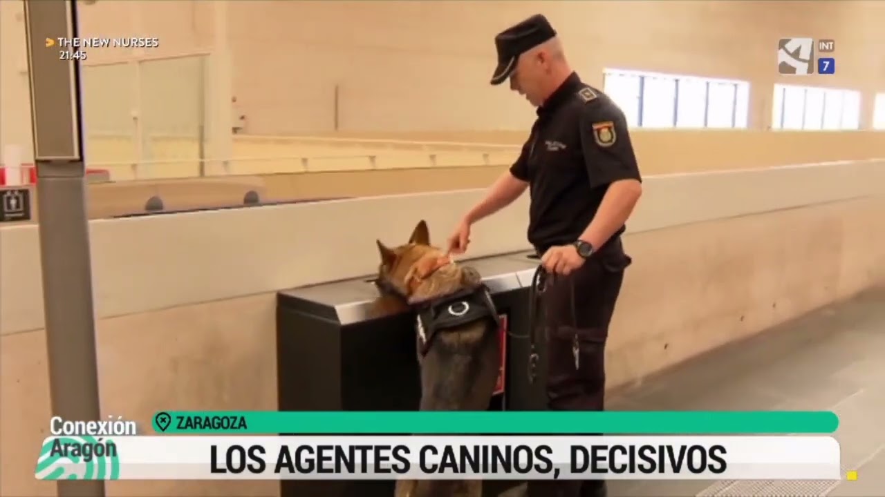 Detenido en Zaragoza por tráfico de drogas al llevar en su coche cocaína rosa