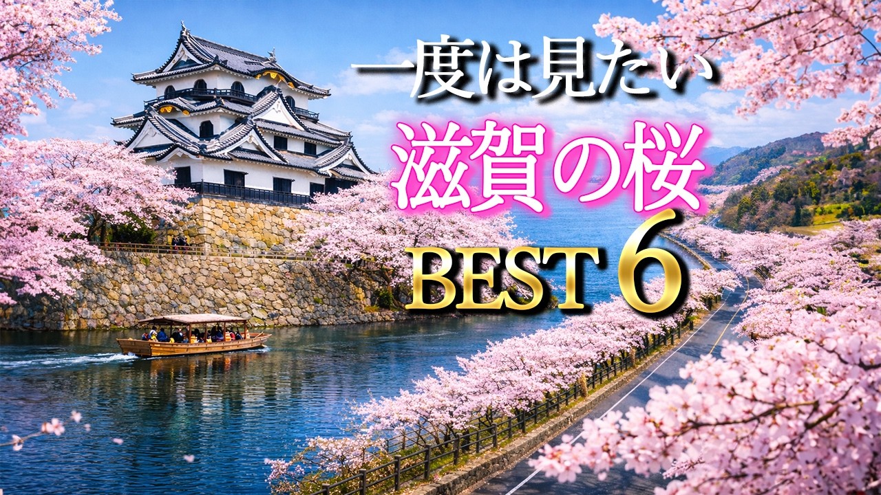 4K】Best 6 Cherry Blossom Spots in Shiga, Japan | Hikone Castle