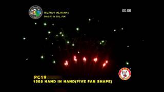 PC19 - 0.8 INCH CAKE - WIZARD FIREWORKS