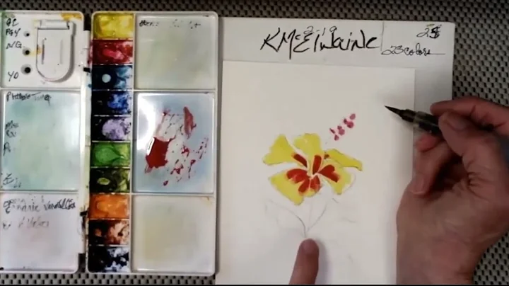 How to use watercolors step by step to paint a Hib...