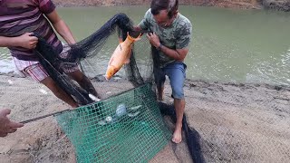 PESCANDO O RESTANTE DOS PEIXES DO POÇO E MOSTRANDO O LUCRO