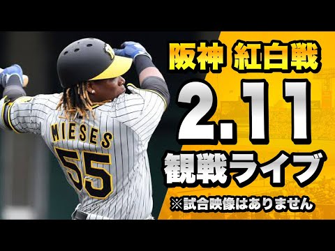 【春季キャンプ2023】2/11 阪神タイガース 紅白戦を一緒に観戦するライブ。【プロ野球】