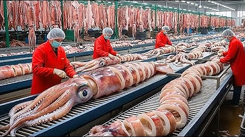 Inside a Giant Squid Processing Plant: How Tons of Fresh Squid Become Global Seafood (Full Process)