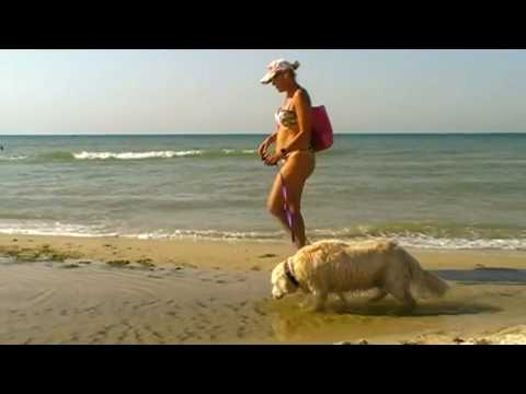 1.Украина.Большевик- Приморское" 1.Украина.Большевик- Приморское"