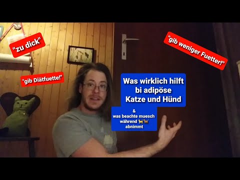 Video: Mittagsmuskel