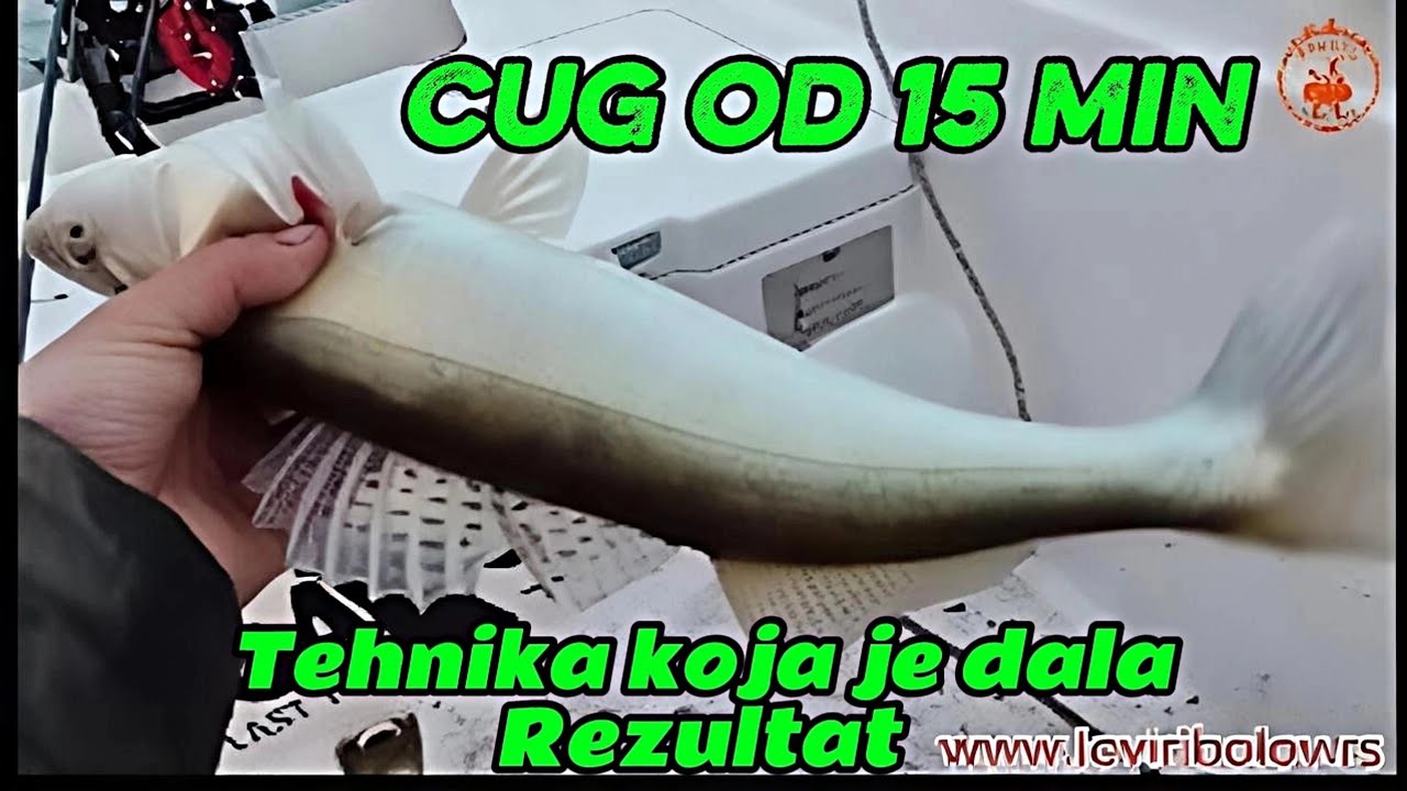 Pecanje smudja, *Zimsko muvanje,  cug od 15min tehnika koja je dala rezultat. 