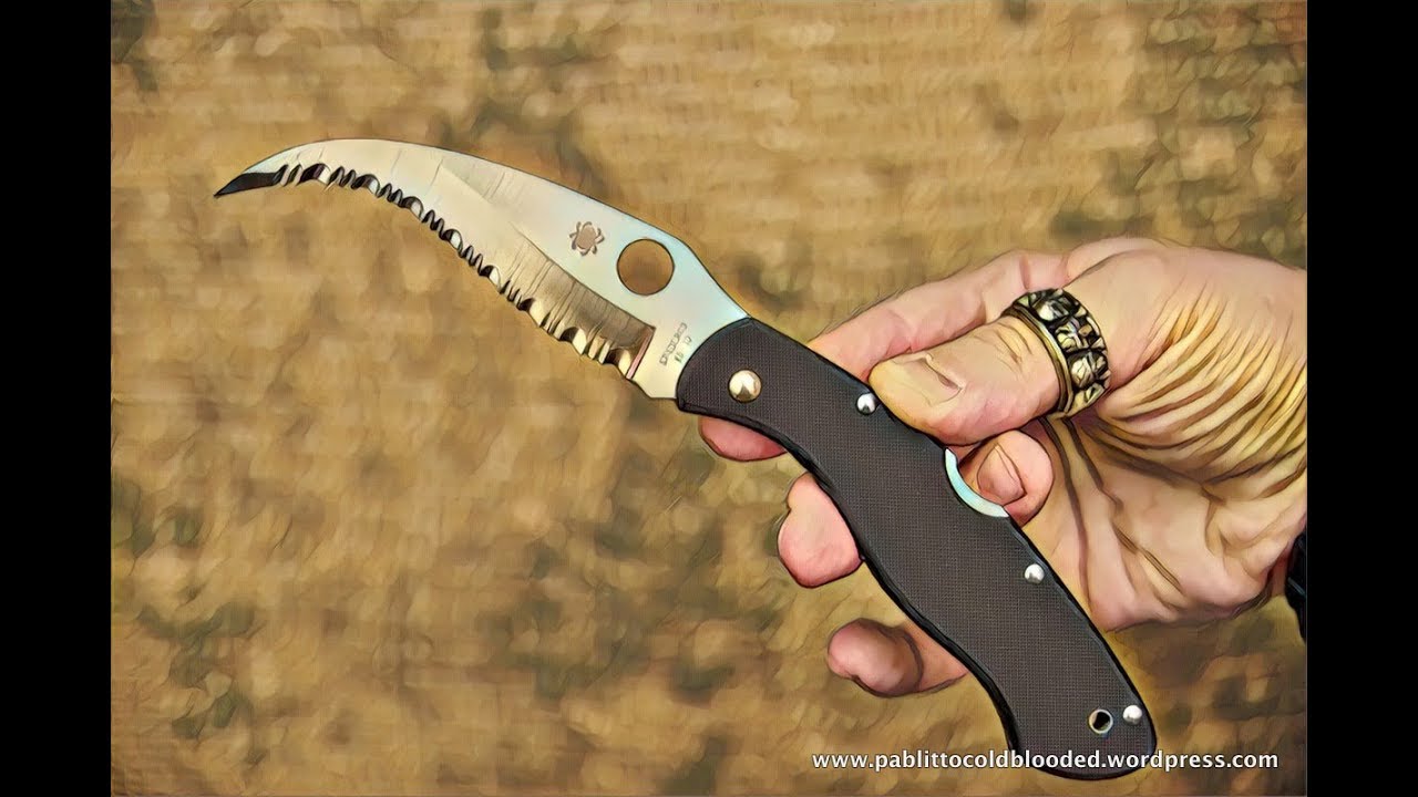 Unboxing & Review Spyderco Civilian C12GS Knife, 4.13" VG10 Serrated