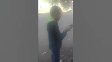 شبين الكوم 