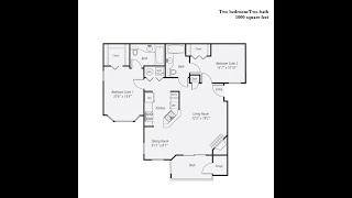 1000sq ft 2 bedroom 2 bath apartment home
