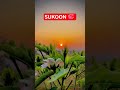 SUKOON 💞 #shorts #islamicvideo #viralvideo
