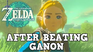 Tears of the Kingdom: Things To Do After Ganon