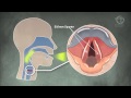 Chorverband nrw tutorial stimmbildung animation