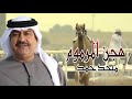 ميحدحمد هجن المرموم حصريا الربشة فقط 00971507814748