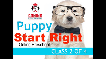 Canine Learning Academy, Puppy Start Right ONLINE Preschool Class 2