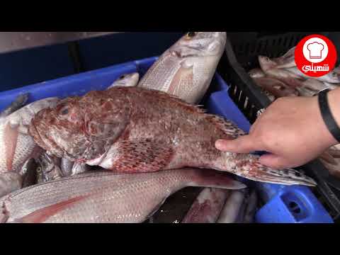 Vidéo: En Quoi L'oreille Diffère De La Soupe De Poisson