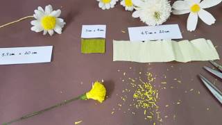 Crepe paper flower kit - Unboxing the Narcissus paper flower kit 