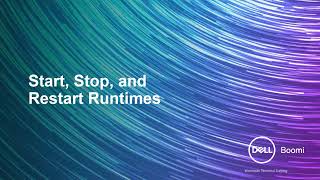 Boomi Architect | Module 5 | Start Stop Runtime 31