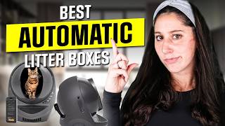 Best Automatic Litter Boxes: Is It Worth Buying?