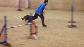 Agility Addicts Feb 09 - Terri & Billie