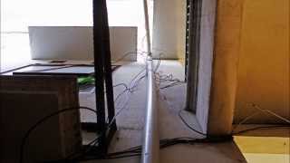 Them Against The World