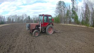 РУМ с металлолома .Бороню.Сею суданку. Огородные испытания. Следующее видео, полевые. #т25 в деле.