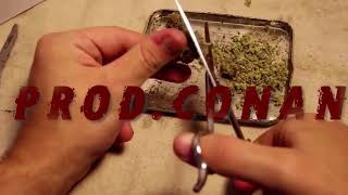 BIG TINY x SMOKE SHOP