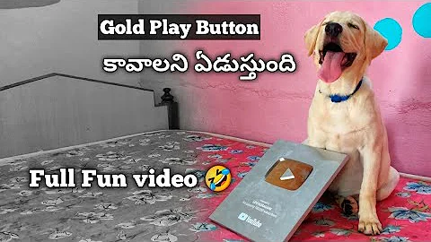 Gold Play Button    Sandy | fun | @upendragani