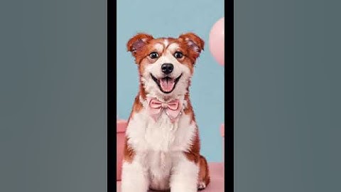 Parallel lines have so much in common. It