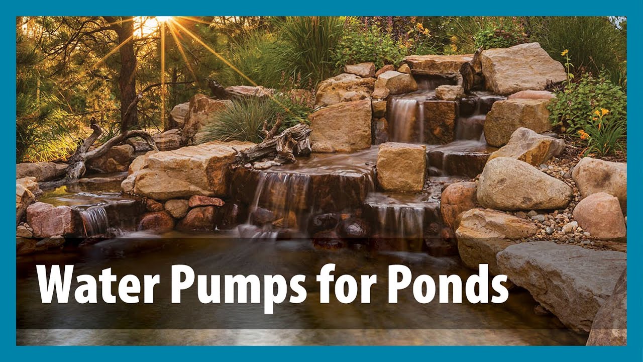 How to Choose a Koi Pond Water Pump YouTube