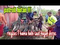 Berburu babi hutan; 7 kawanan HAMA BABi diringkus saat mau masuk kebun,hingga sampai hujan deras.