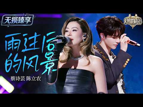 【纯享版】一柔一暖的声线交融！蔡诗芸陈立农浪漫演绎《雨过后的风景》！清新温柔的旋律如微风拂面 细腻声线诉说着爱情历经风雨后的释然与美好 #天赐的声音7 EP2 20260619