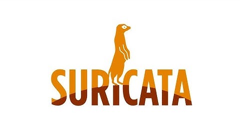 Cài đặt và cấu hình Suricata trên Firewall pfSense #2