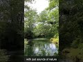 Natural river sounds