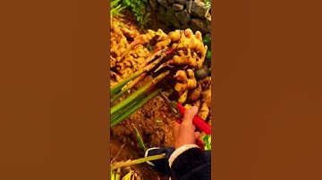 Teknik cerdas memotong batang jahe #shorts