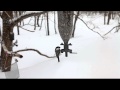 雪の日のバードフィーダー
