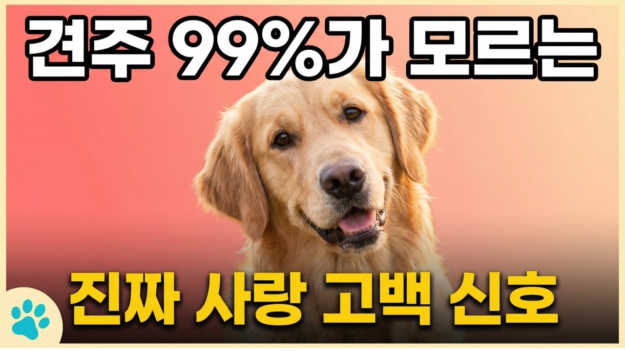 견주 99%가 모르는 강아지의 '진짜' 사랑 고백 신호 | 강아지 꼬리가 '오른쪽'으로 흔들리면 대박인 이유?  강아지 심리학: 유대감이 깊은 개들만 보여주는 10가지 행동