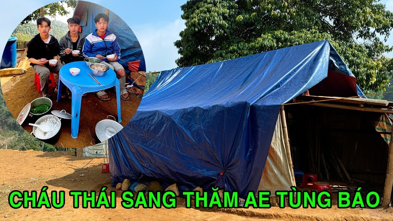 CHÁU THÁI SANG HỘ AE TÙNG BÁO MỒ CÔI LÀM VIỆC , TÌNH YÊU THƯƠNG CỦA CÁC CON DÀNH CHO NHAU