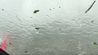 IMG 1012