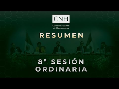 Resumen 8ª Sesión