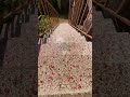 Crushing and Breaking Glass Bottles Vs. Stairs (Crunchy ASMR) ⚠️🔥 #satisfying #shorts