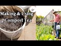 How to make  use compost tea  improve plant  soil health